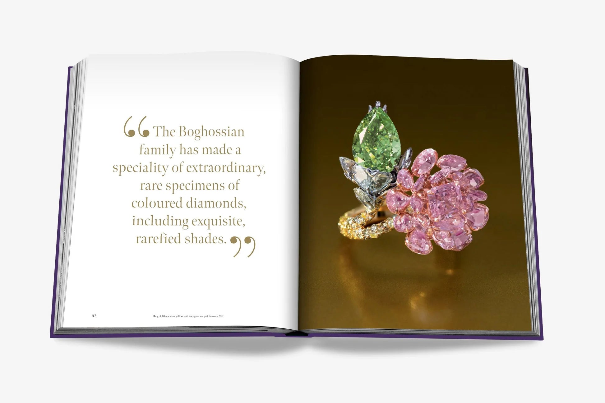 ASSOULINE: BOGHOSSIAN: EXPERTISE, CRAFTSMANSHIP, INNOVATION
