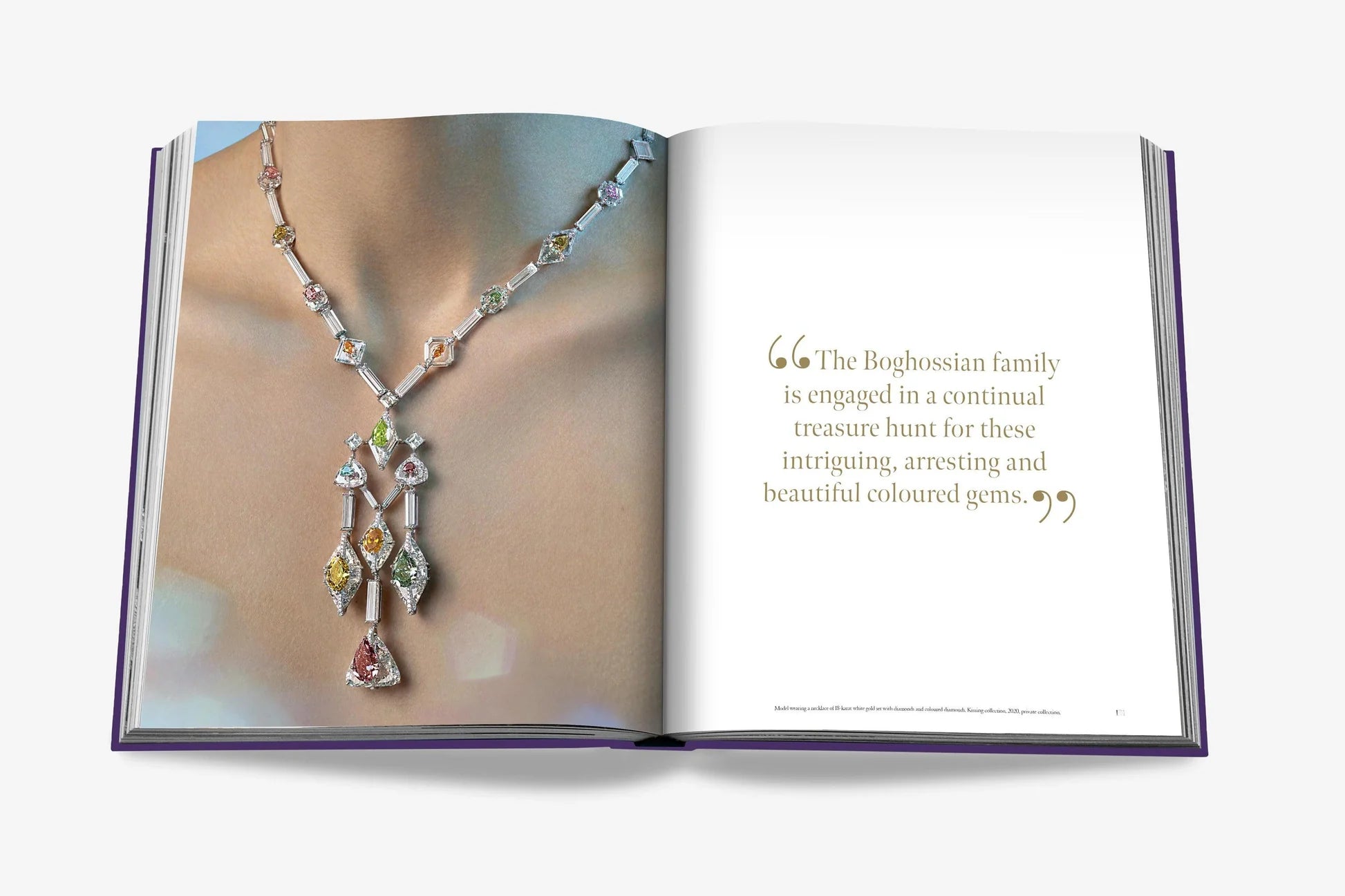 ASSOULINE: BOGHOSSIAN: EXPERTISE, CRAFTSMANSHIP, INNOVATION