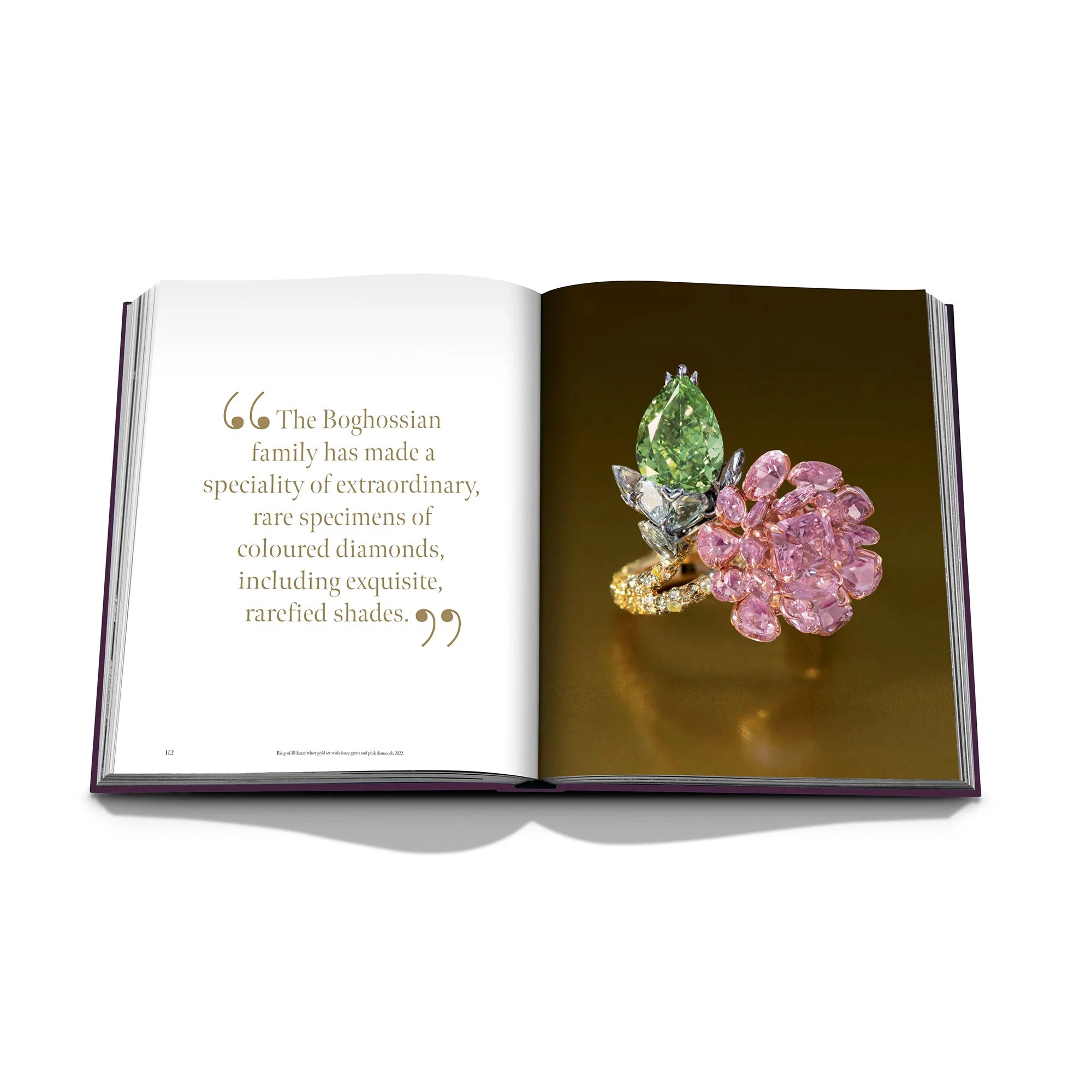 ASSOULINE: BOGHOSSIAN: EXPERTISE, CRAFTSMANSHIP, INNOVATION