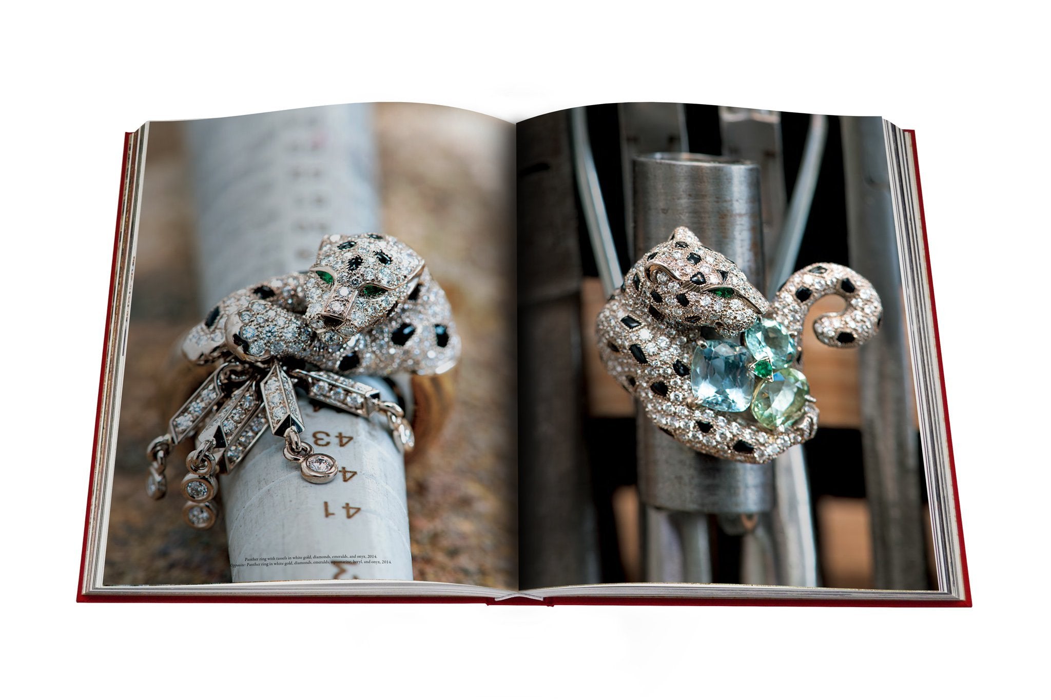 ASSOULINE - CARTIER PANTHERE, Vivienne Becker