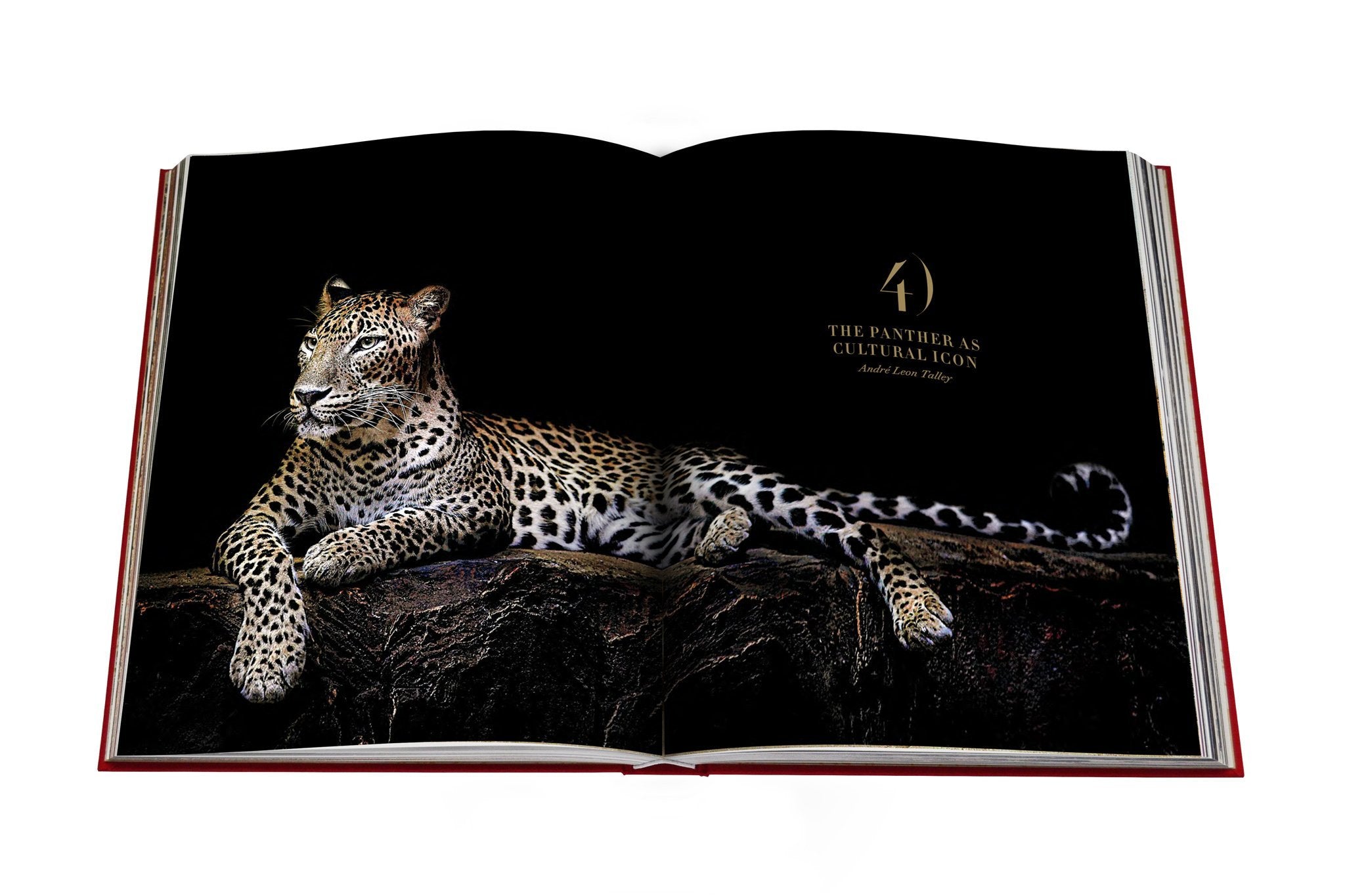 ASSOULINE - CARTIER PANTHERE, Vivienne Becker