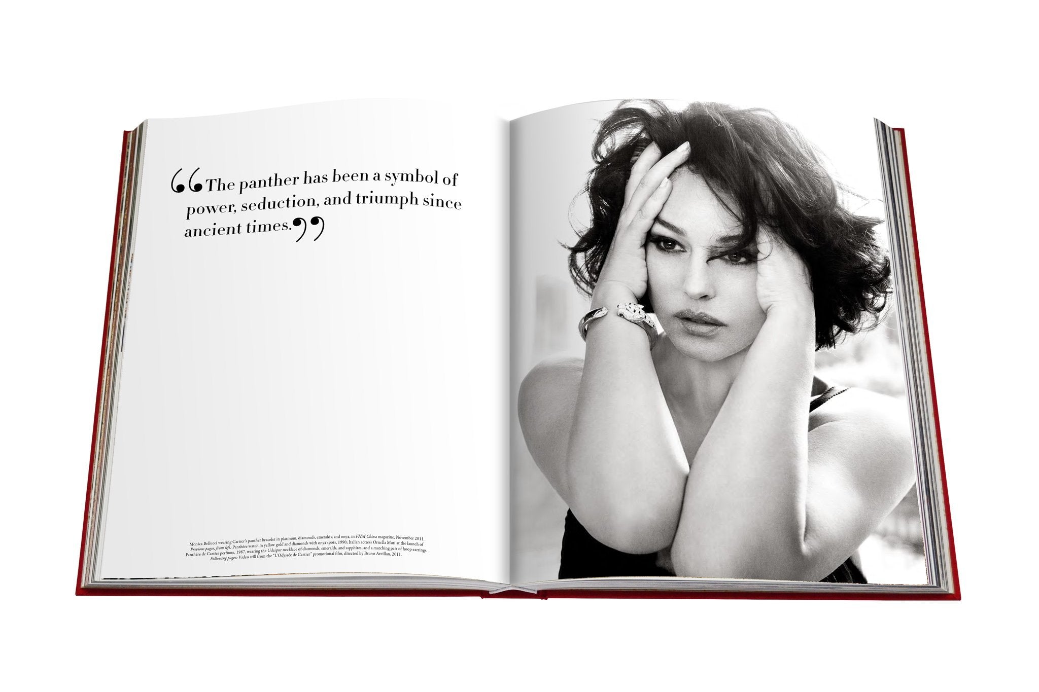 ASSOULINE - CARTIER PANTHERE, Vivienne Becker