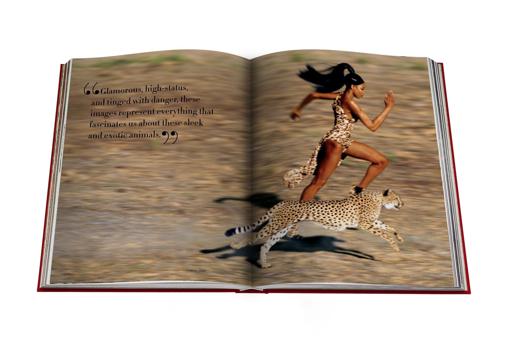 ASSOULINE  - CARTIER PANTHERE, Vivienne Becker