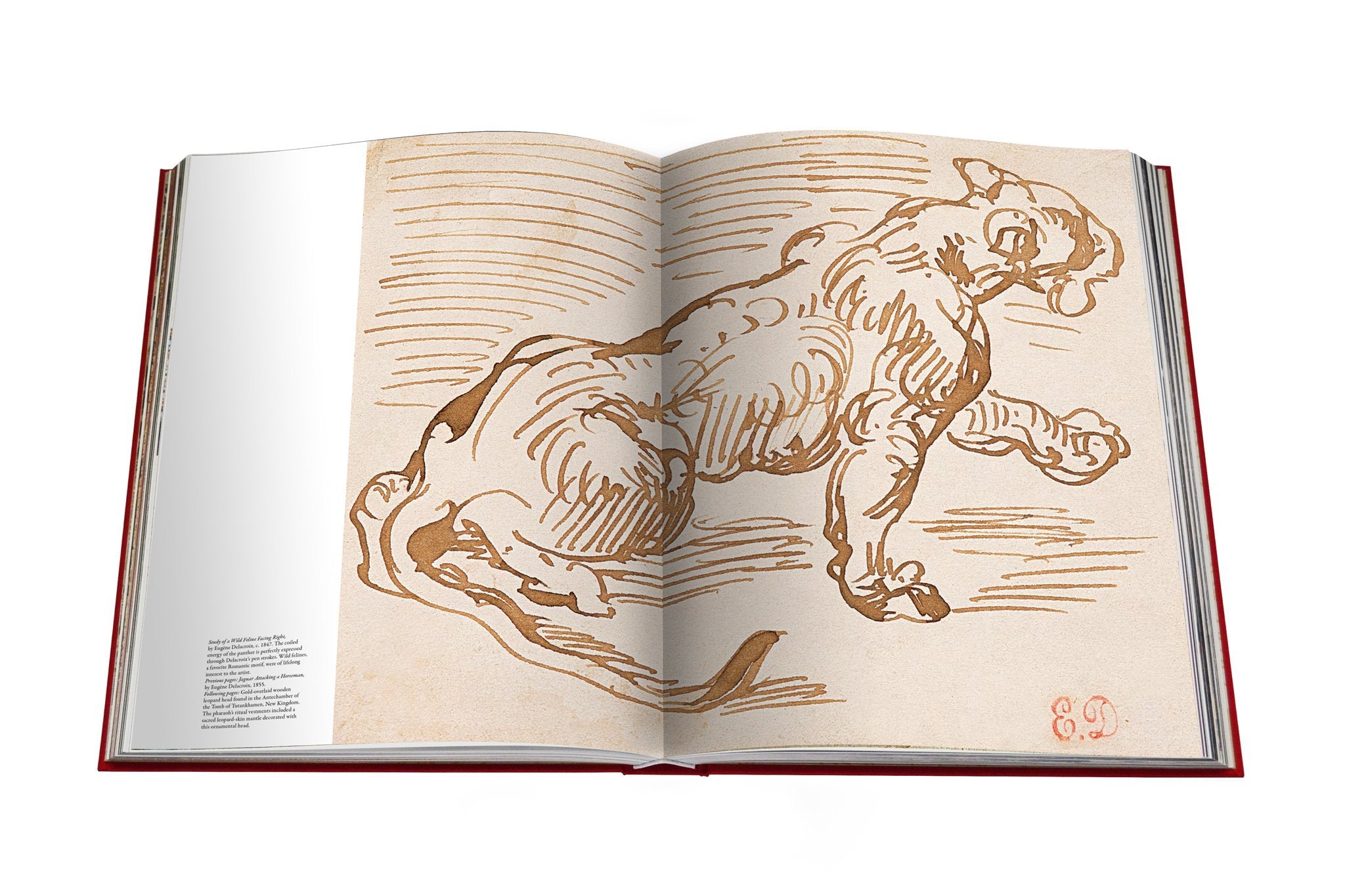ASSOULINE - CARTIER PANTHERE, Vivienne Becker