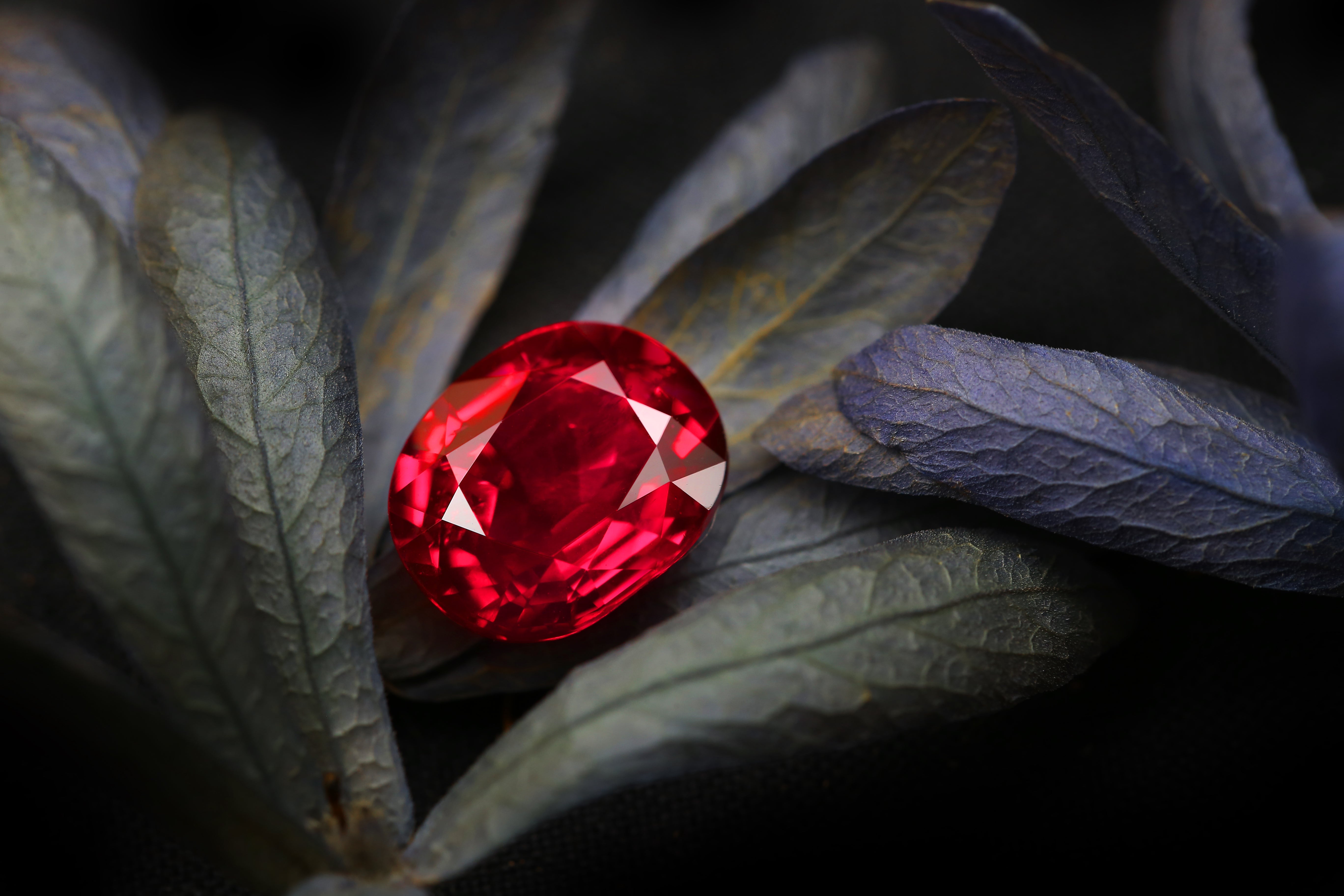 Ultimate Jewelry Box Experience
