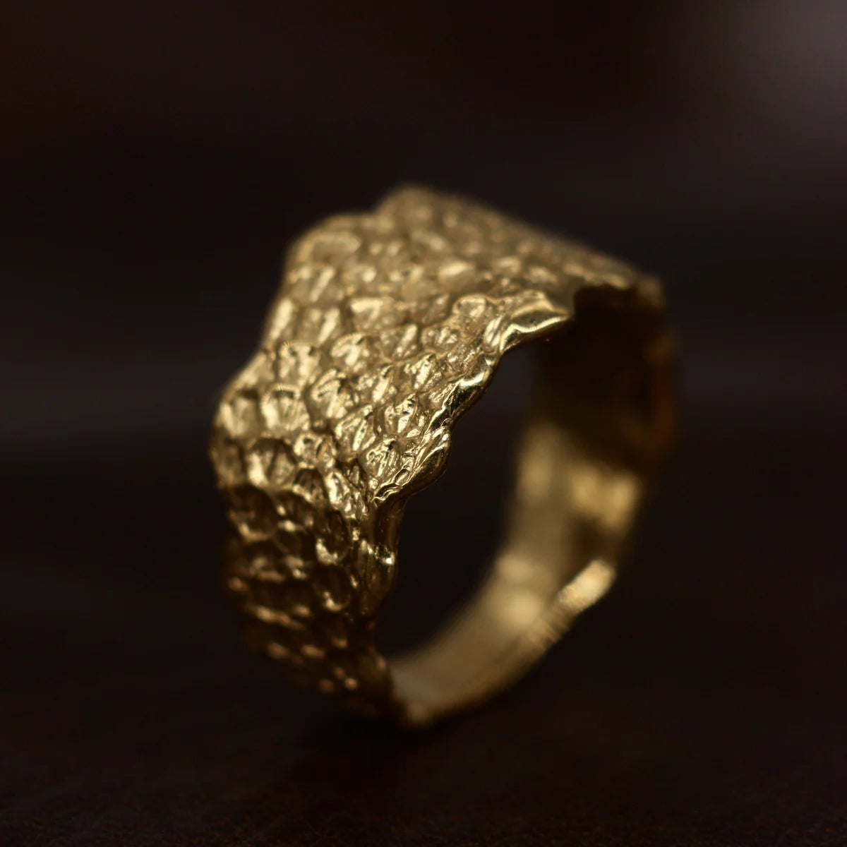 18k Gold dragon scale ring by Clio Saskia
