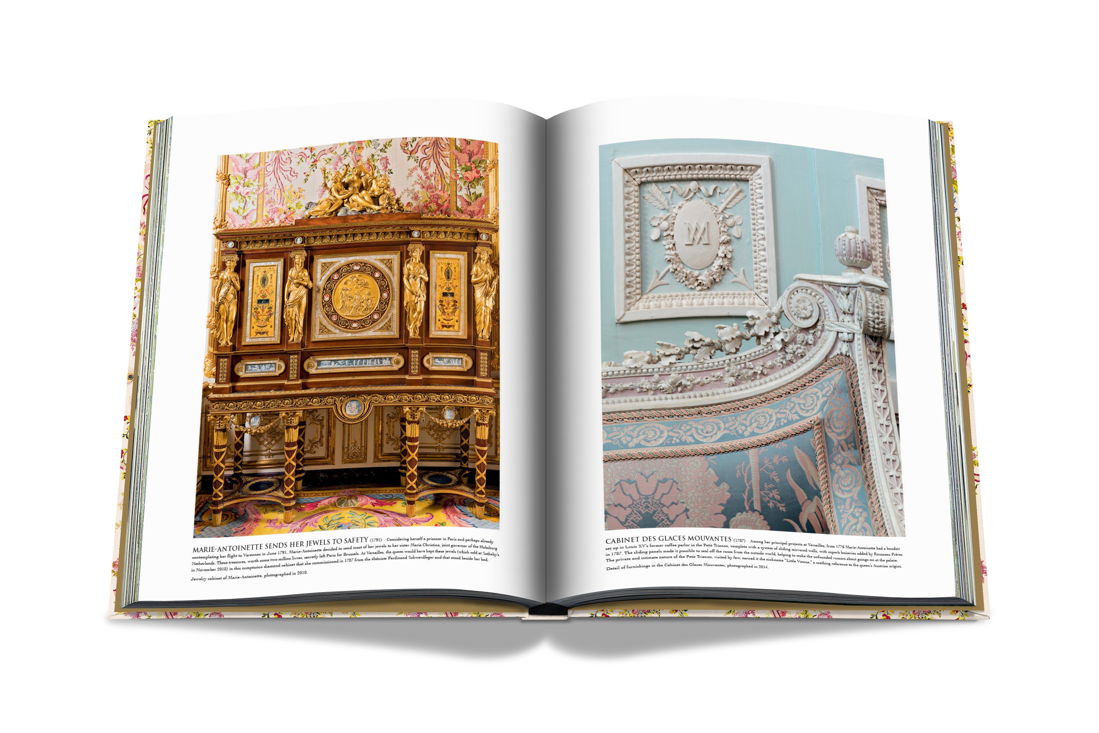 ASSOULINE Versailles: From Louis XIV to Jeff Koons - Chateau de Versailles