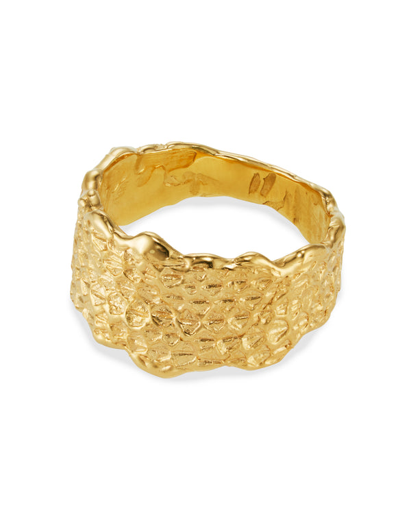 Gold textured dragon scale ring by jewelry designer-maker Clio Saskia